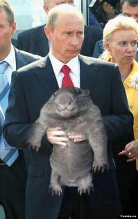 Крутые фото Путина