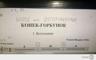 Держитесь подальше: 30 худших книг для детей