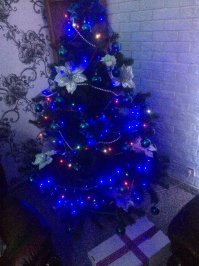 В этом году исправилась ...