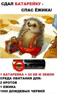 Правильно выбрасывайте мусор!