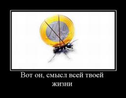 Самый секретный роддом мира