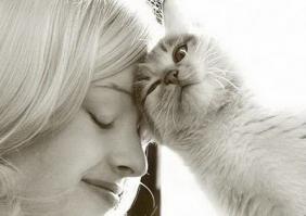 Смешные животные, которым нужно внимание хозяина 