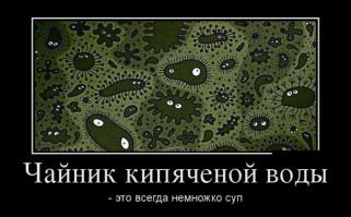 23 обычных предмета под микроскопом