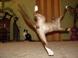 Эпические падения