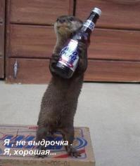 Морские выдрочки