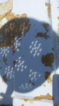 Вот вам полный дуршлаг затмений. :)