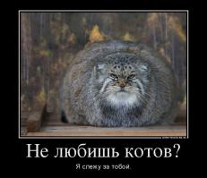 Поцелуй у мэрии