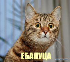 В продолжение к посту о миноге