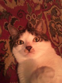 немножко свои похвастаюсь)) можно?