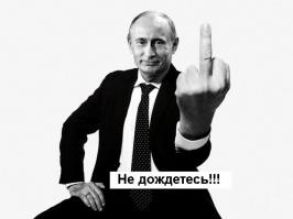 Путина поздравил тигренок?