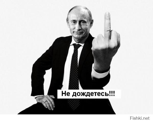 Путина поздравил тигренок?