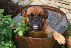 Самые необычные бассейны мира