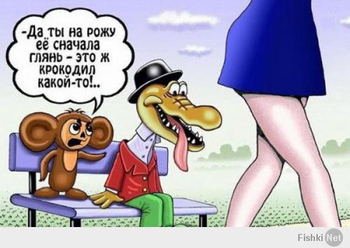 Фишкина солянка за 12.02.2014