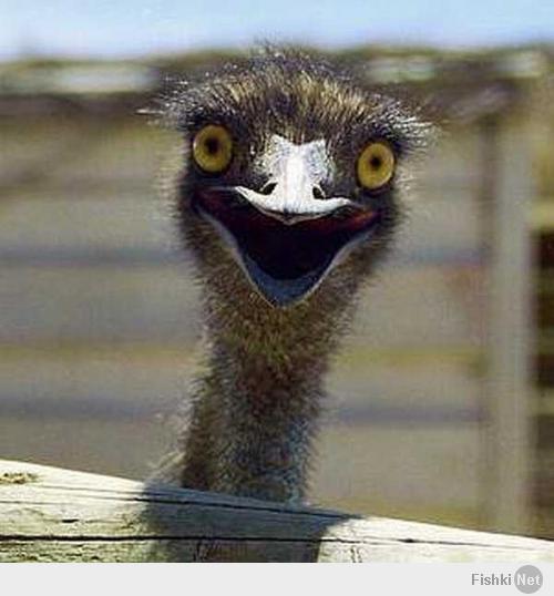 ты на меня не обижайся ты на себя обижайся не я ведь глупый