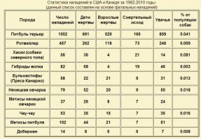 20 доказательств того, что питбули самые ласковые собаки в мире