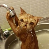 КАКАЯ ОТВРАТИТЕЛЬНАЯ РОЖА