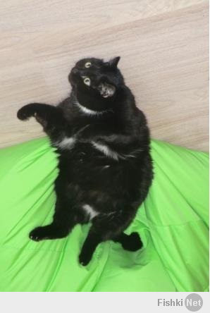 На моего похож