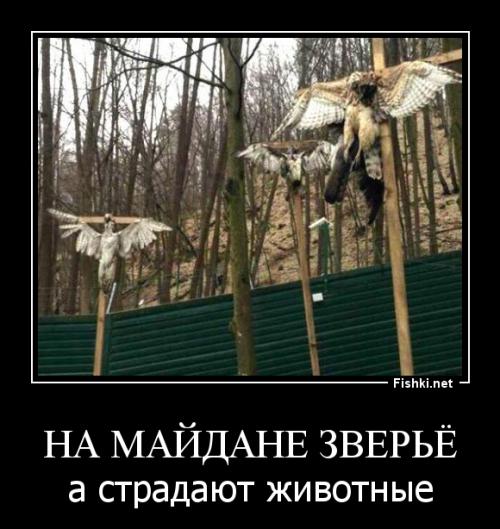 Власти Киева лишили финансирования Харьковский зоопарк!!!