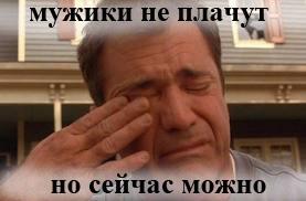 Кошка два года ждет возвращения хозяина