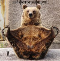 Сергей Горшков - "Медвежий" фотограф