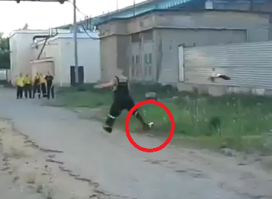 Утята остались без одного кормильца ? Вроде толи наступил случайно,толи пнул.