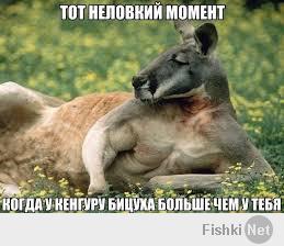 Подборка видео от 11.02.2014