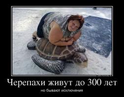 15 животных, которые старше, чем ваши бабушка и дедушка 