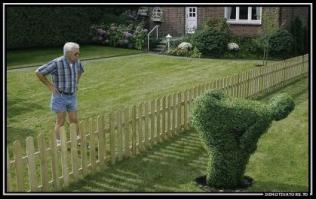 Впечатляющее топиарное искусство 