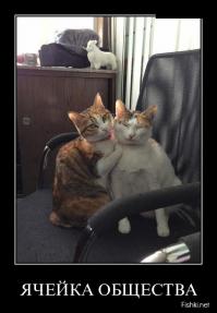 Звериные семьи