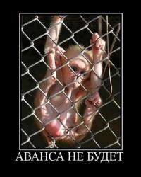 «Это я»: животные, в которых легко можно узнать себя 