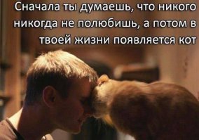 Мужчины и кошки
