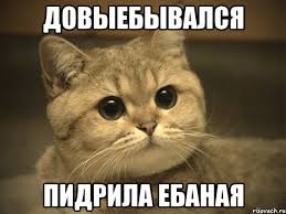 Буду краток