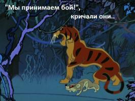 Наши любимые цитаты