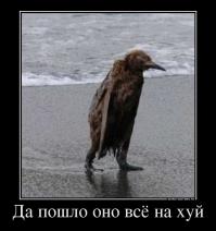 "Знаменитый боксёр Майкл «Ирландский мексиканец» Гомес решил завершить карьеру в одну секунду, прямо во время боя. В разгар пятого раунда он просто перестал защищаться, развернулся и ушёл с ринга, пока его соперник всё ещё наносил ему удары."