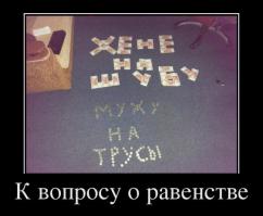 Кто такой или такая "ХЕНЕ" и зачем муху на трусы???