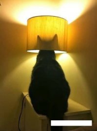 Девочка на Матизе и экскаваторщики