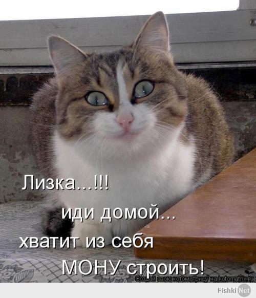 Кото-пост