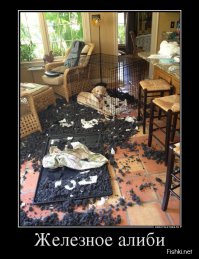 20 животных, которых можно только понять и простить