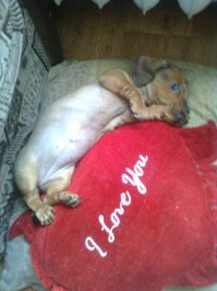 Продолжения нет, потому что нет подушки:)