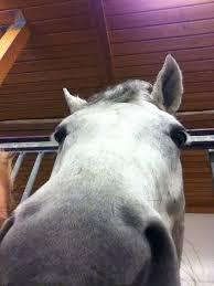 Это было сложно,  но я его заставил!