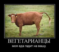 Как стать вегетарианцем