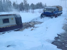 Болотомес. Непотопляемые болотные монстры