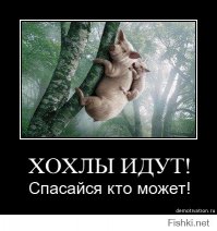 В Севастополе прошла репетиция Парада Победы