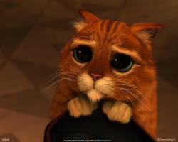 А вот и его папка.