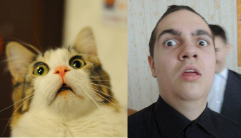 Прикольные фотожабы