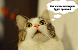 Сколько сейчас лет героям мультфильмов