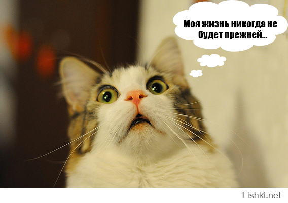 Сколько сейчас лет героям мультфильмов