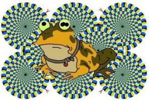 Большая лягушка голиаф