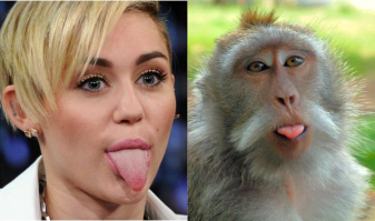 И это еще должно льстить Майли.