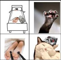 Не все кошки вредные хулиганы, но эти точно